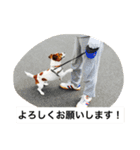 ヴィヴィからの一言（個別スタンプ：9）