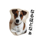 ヴィヴィからの一言（個別スタンプ：10）