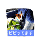 ヴィヴィからの一言（個別スタンプ：11）
