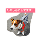 ヴィヴィからの一言（個別スタンプ：12）