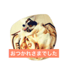 ヴィヴィからの一言（個別スタンプ：14）