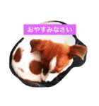 ヴィヴィからの一言（個別スタンプ：15）