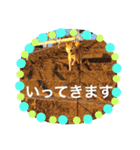 柴犬のコタロー2（個別スタンプ：7）