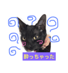 黒猫のくろまめちゃん パート3（個別スタンプ：4）