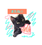黒猫のくろまめちゃん パート3（個別スタンプ：8）