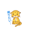 無名の日常（個別スタンプ：13）