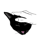 Black cat Ruru's Fantasy world（個別スタンプ：7）