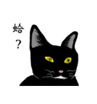 Black cat Ruru's Fantasy world（個別スタンプ：18）