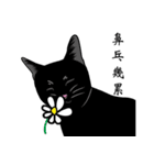 Black cat Ruru's Fantasy world（個別スタンプ：20）