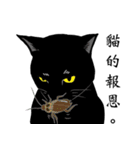Black cat Ruru's Fantasy world（個別スタンプ：30）