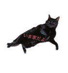 らむ.うぶ.はる.（個別スタンプ：2）