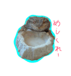フトアゴのちぃーすけ（個別スタンプ：1）