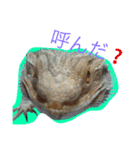 フトアゴのちぃーすけ（個別スタンプ：3）