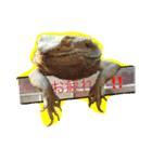 フトアゴのちぃーすけ（個別スタンプ：4）