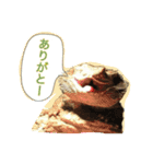 フトアゴのちぃーすけ（個別スタンプ：6）