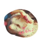 楓ちゃん♡（個別スタンプ：1）