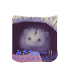 楓ちゃん♡（個別スタンプ：4）