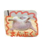 楓ちゃん♡（個別スタンプ：8）