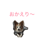 くぅー（個別スタンプ：2）