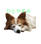 くぅー（個別スタンプ：3）