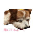 くぅー（個別スタンプ：8）