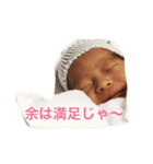 ひまり専用スタンプver.1（個別スタンプ：5）
