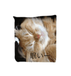 トラの気持ち（個別スタンプ：2）