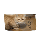 トラの気持ち（個別スタンプ：3）