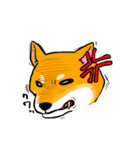柴犬たろうくん（個別スタンプ：6）