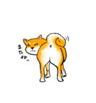 柴犬たろうくん（個別スタンプ：9）
