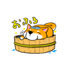 柴犬たろうくん（個別スタンプ：29）