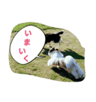 ありのすたん（個別スタンプ：1）