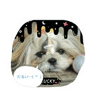 ありのすたん（個別スタンプ：7）