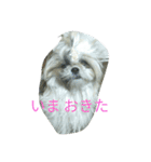 ありのすたん（個別スタンプ：12）