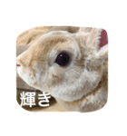 美尻ベビー（個別スタンプ：3）