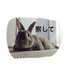美尻ベビー（個別スタンプ：5）