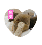美尻ベビー（個別スタンプ：6）