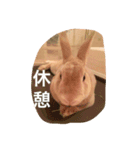 美尻ベビー（個別スタンプ：7）