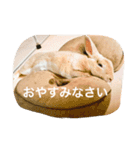美尻ベビー（個別スタンプ：9）