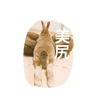 美尻ベビー（個別スタンプ：14）