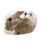 美尻ベビー（個別スタンプ：16）