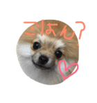 こたろうちゃんの日常（個別スタンプ：4）