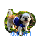 日本 サッカー 犬（個別スタンプ：3）