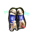 日本 サッカー 犬（個別スタンプ：6）