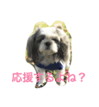 日本 サッカー 犬（個別スタンプ：8）