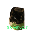 くうchan'（個別スタンプ：3）