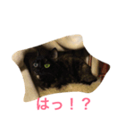 くうchan'（個別スタンプ：4）