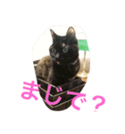 くうchan'（個別スタンプ：6）