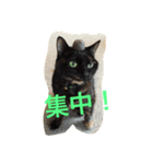 くうchan'（個別スタンプ：8）