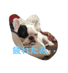 ハムとアンディ（個別スタンプ：4）